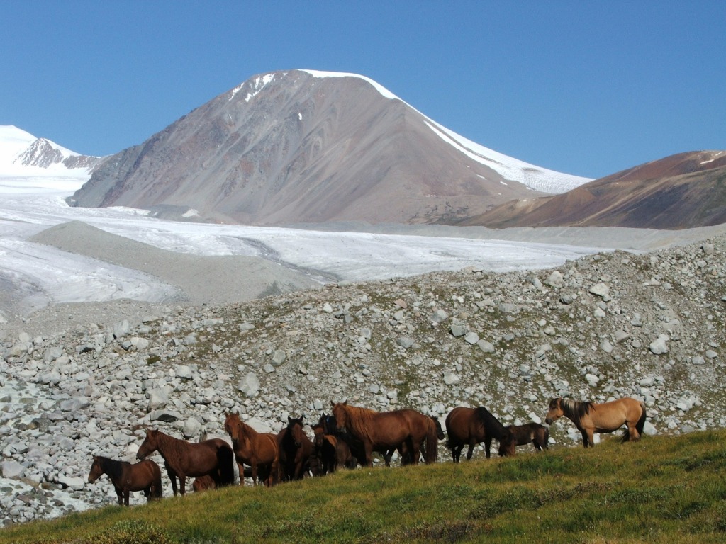 Malchin peak Tavan Bogd