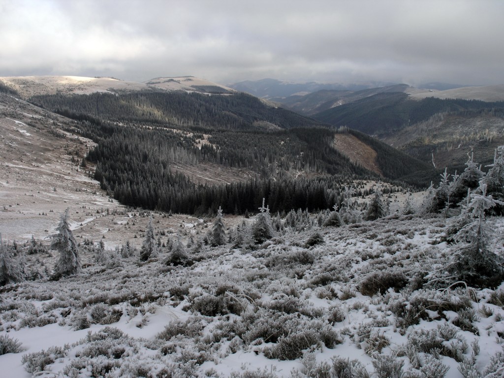 Dolina Hramitnego
