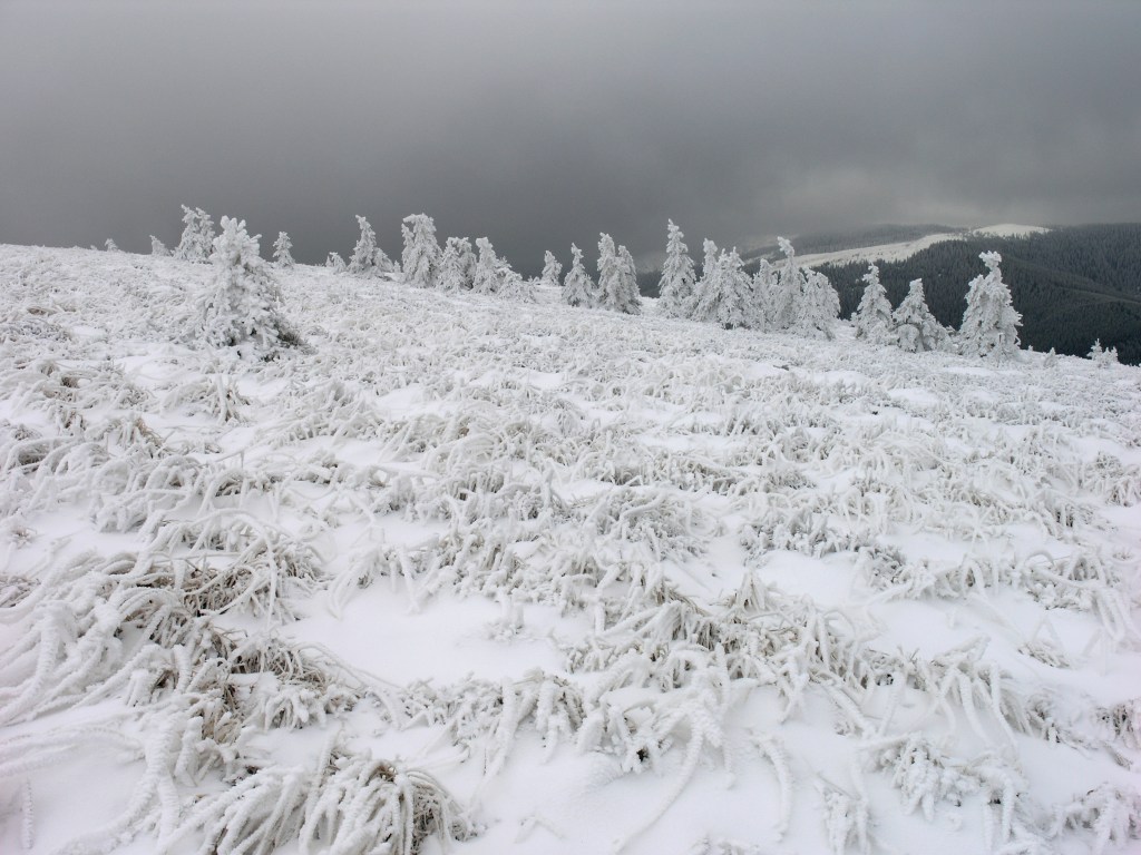 karpaty Ukraińskie zimą