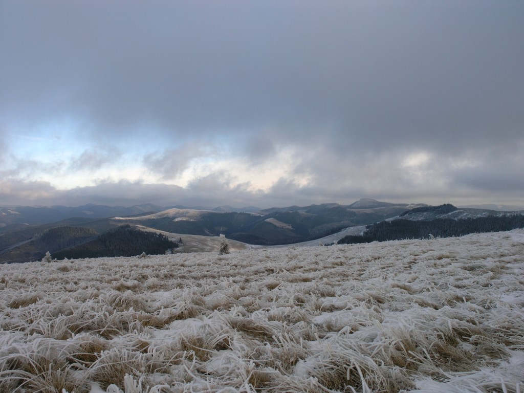 Widok na Karpaty Pokucko-Bukowińskie z połoniny Ryzowatej.