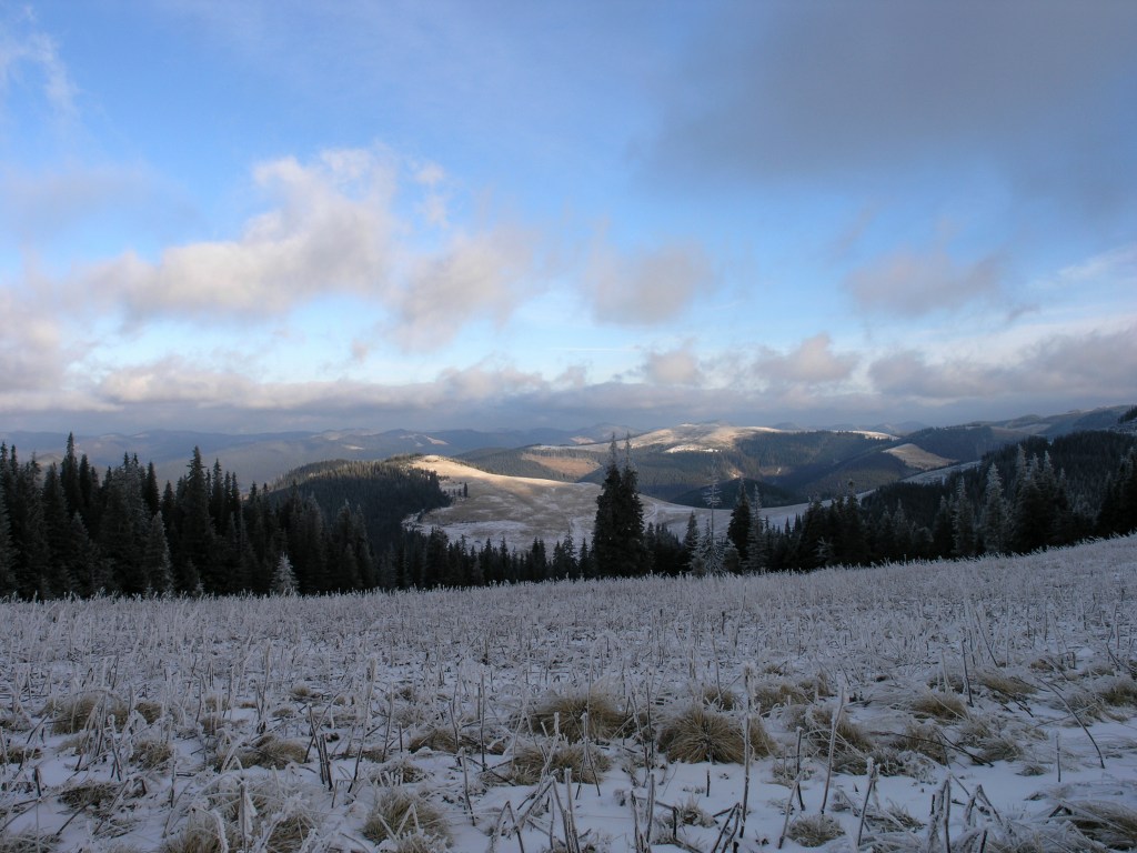 Połoniny Hryniawskie Karpaty Ukraińskie
