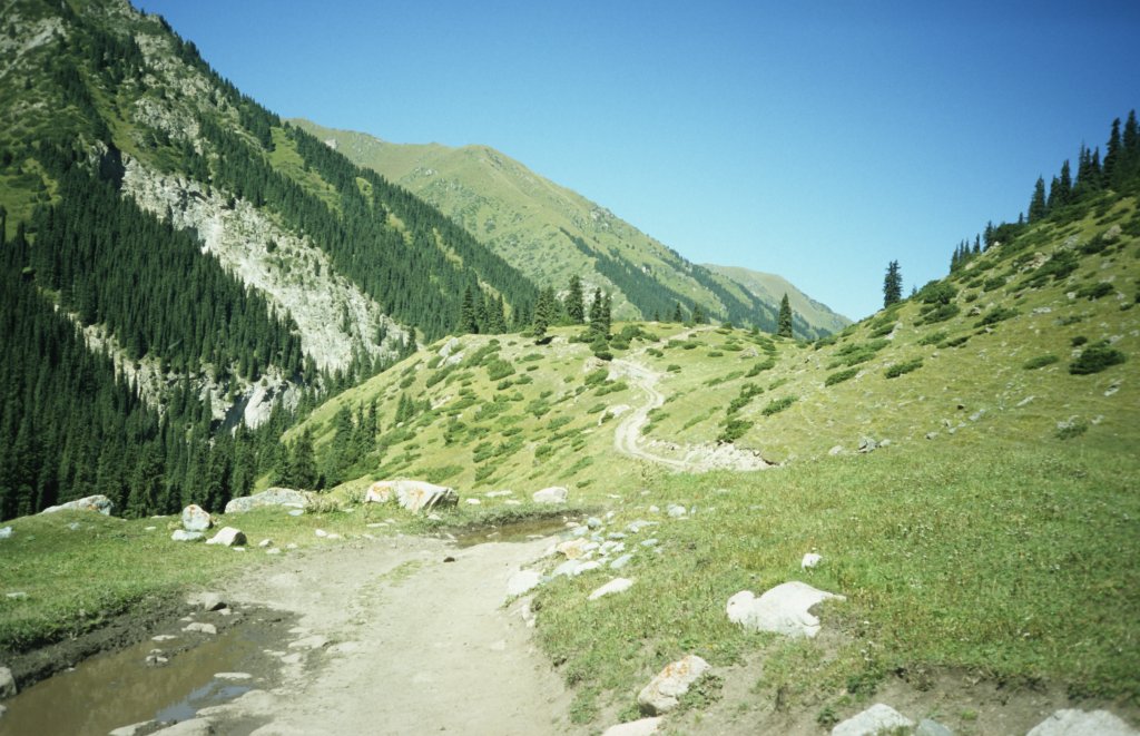 Altyn arashan