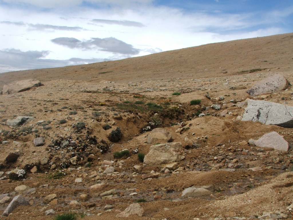 Ałtaj mongolia