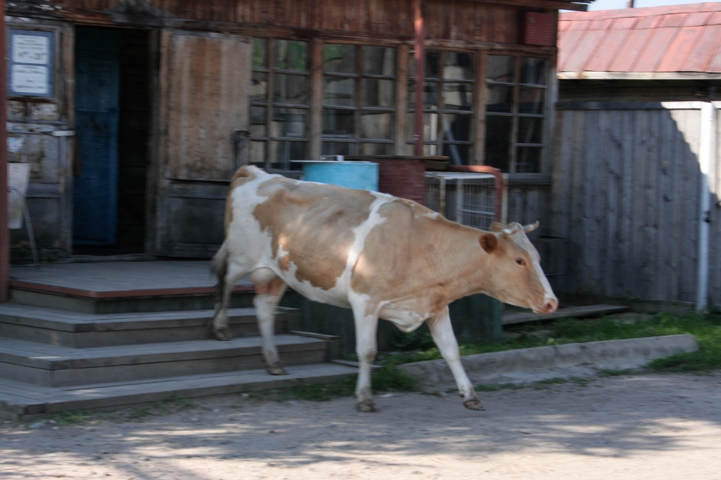 Zabajkale Syberia