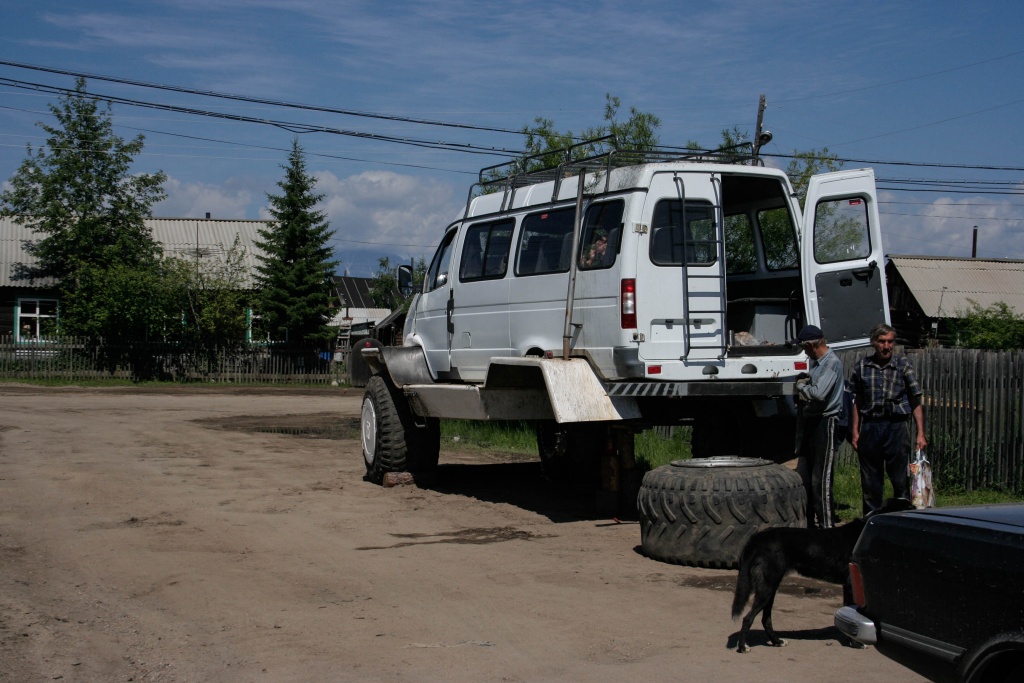 Gaz gazela