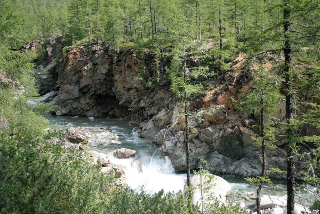 Сакукан Кодар