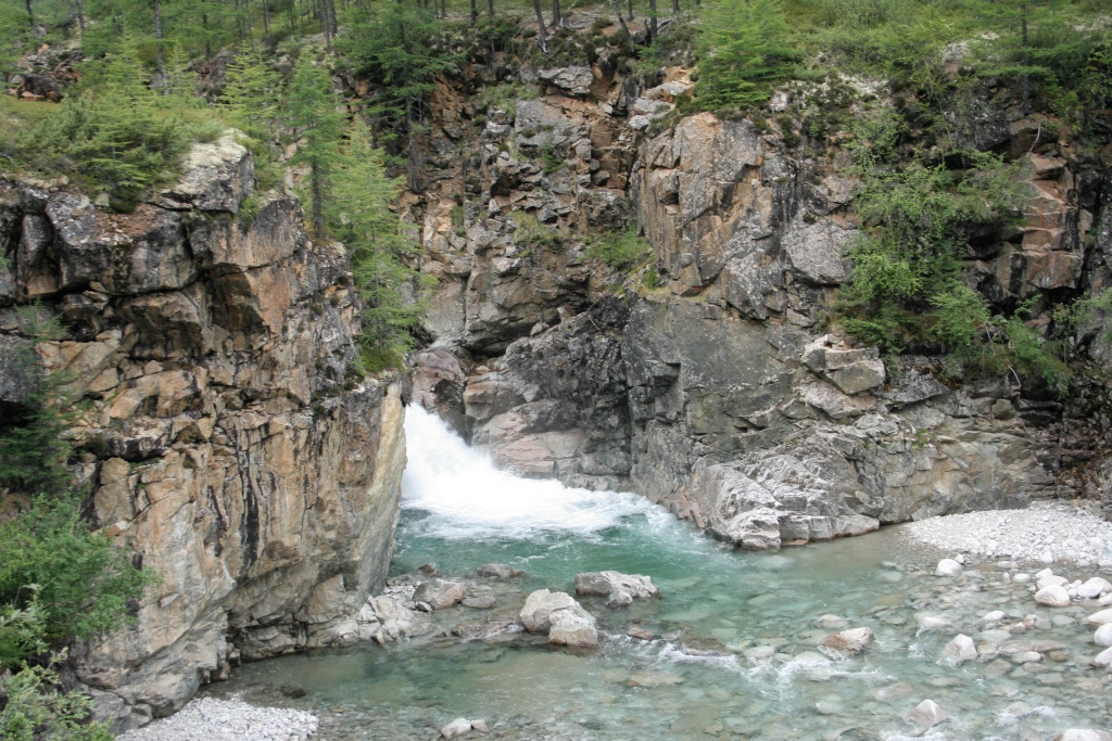Сакукан Кодар