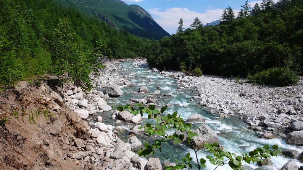 Сакукан Kodar