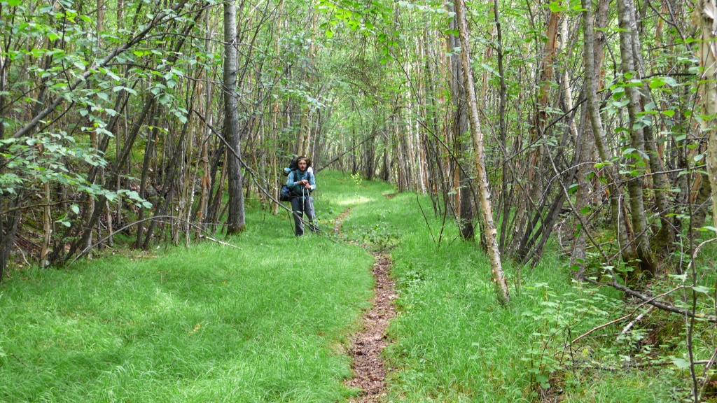 Syberia trekking