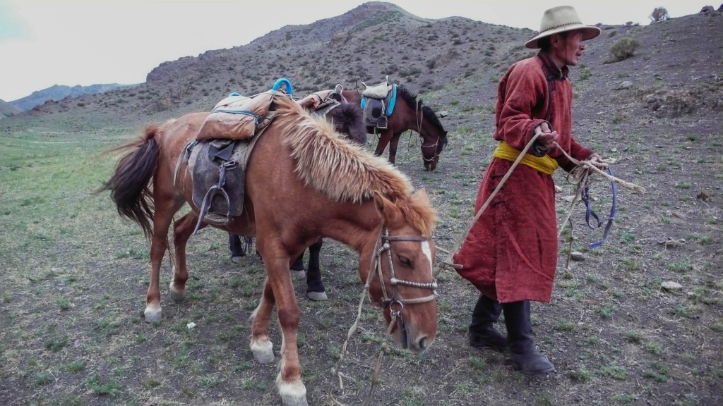 gobi mongolia