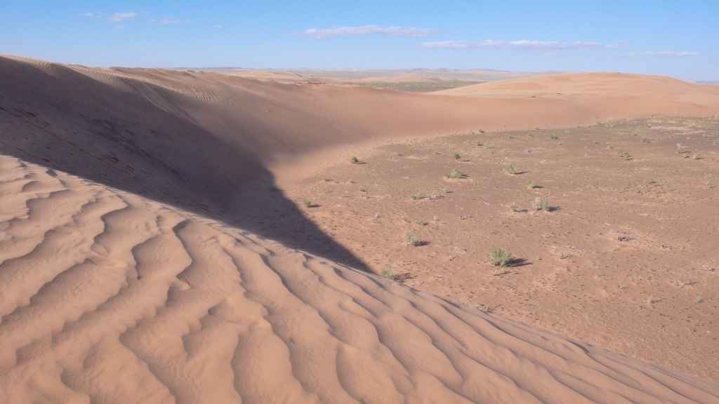 Moltsog els gobi Mongolia