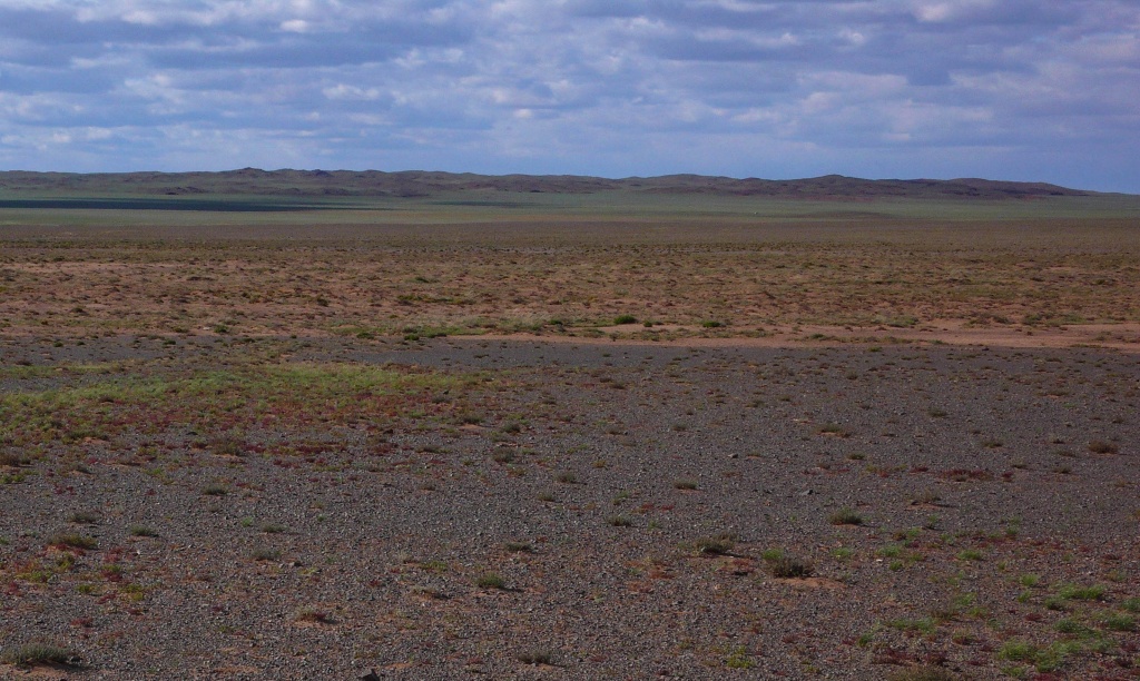 mongolia step