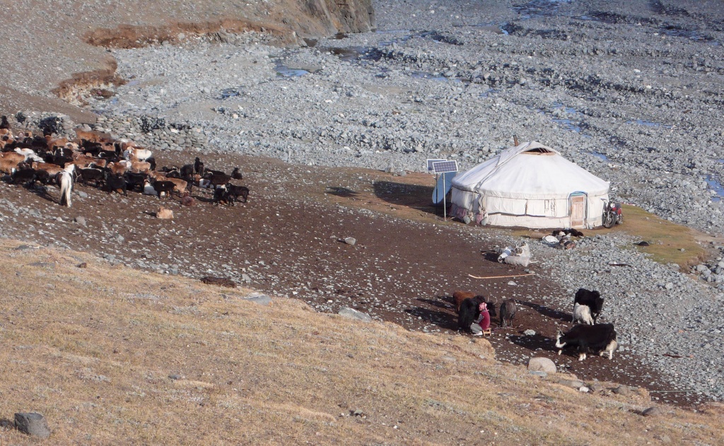 Tsambagarav Mongolian Altai Jurt