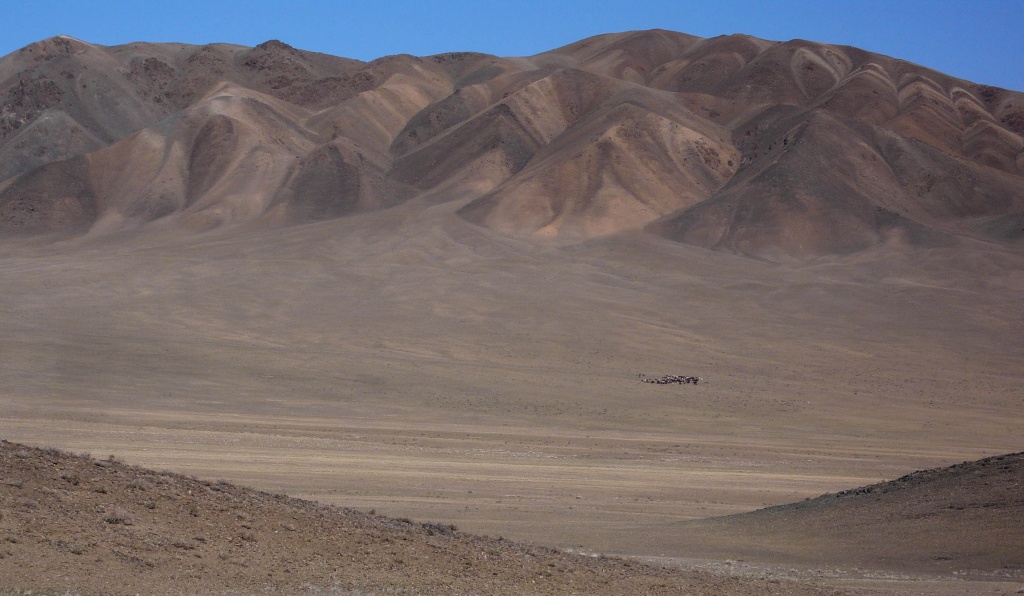 Altai