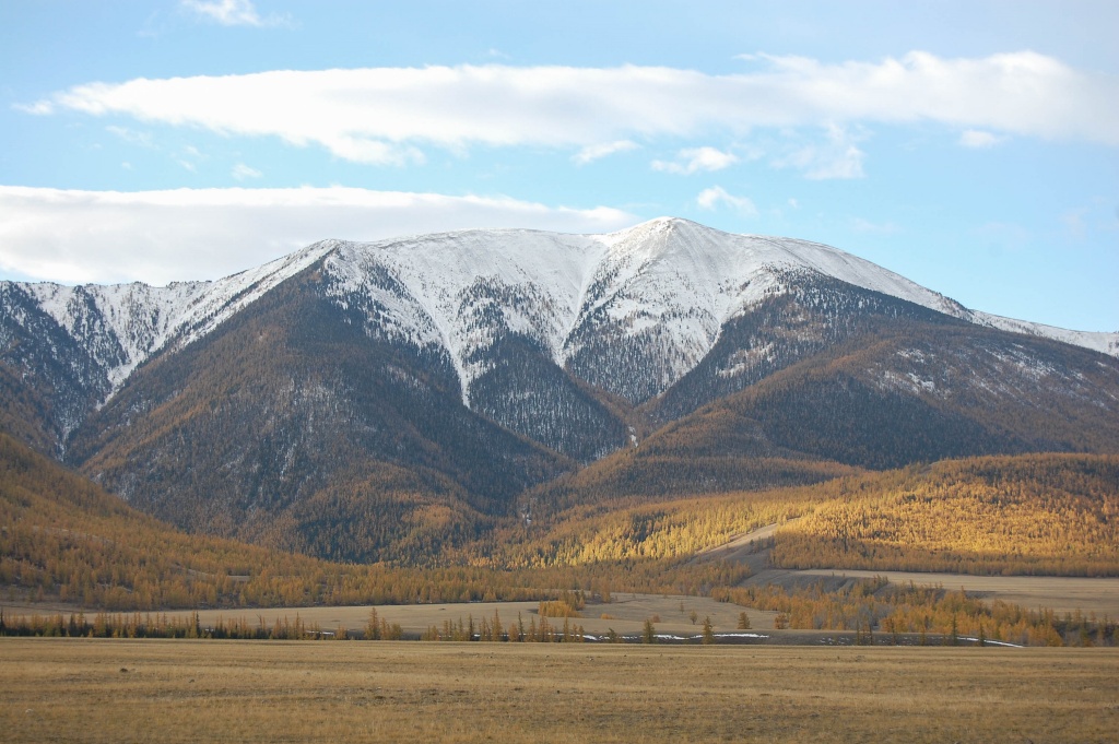 Altai Golden Mountains