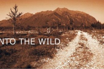 Christopher McCandless – w poszukiwaniu dzikości