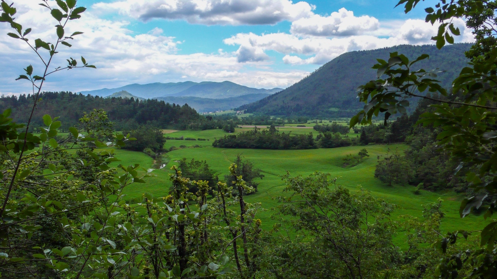 Planinsko polje Słowenia