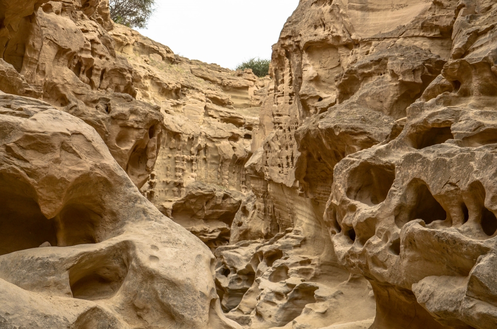kanion Chahkooh Qeshm Iran