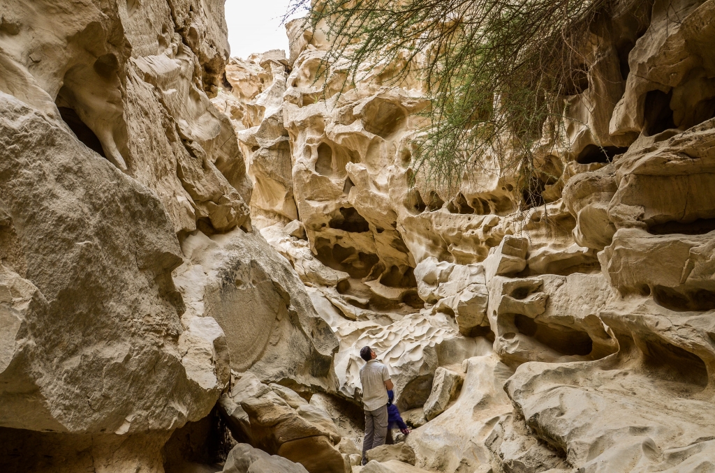 kanion Chahkooh Qeshm Iran