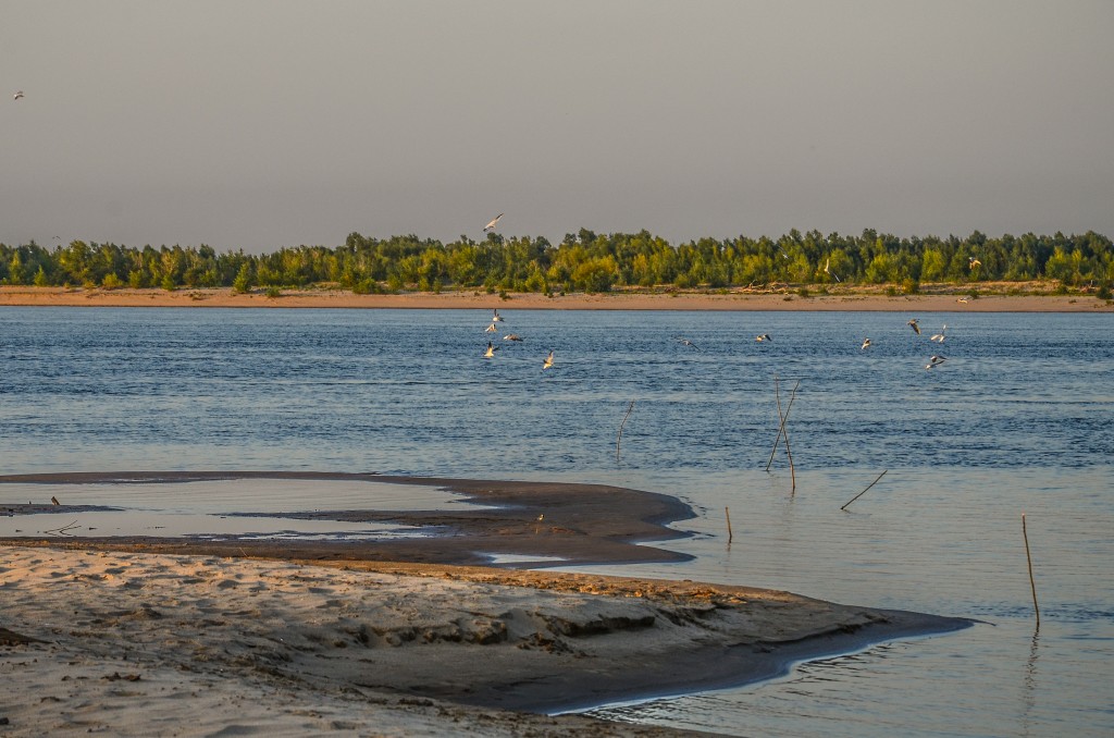 River Volga