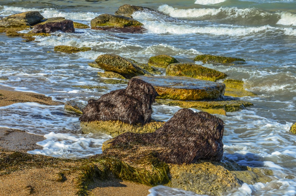 Caspian sea Kazakhstan