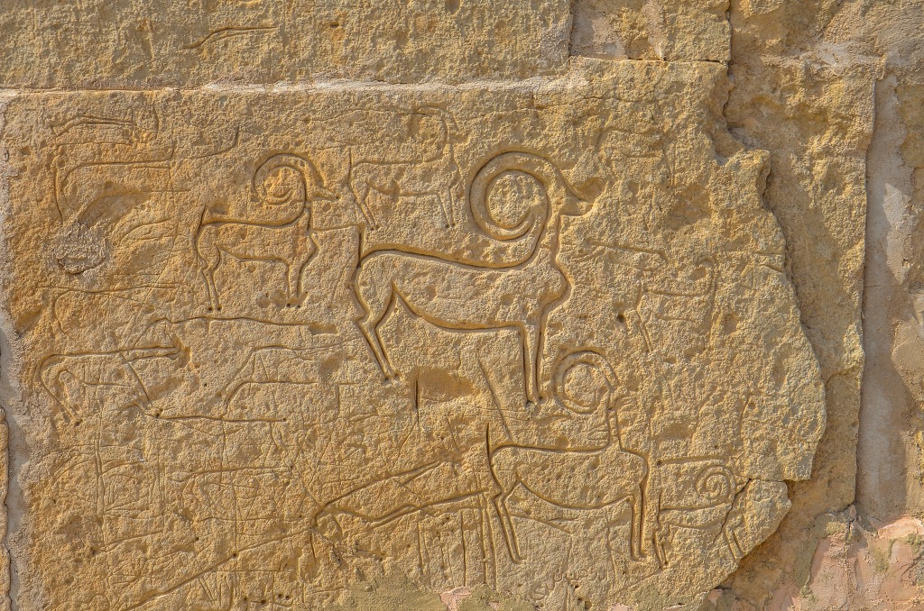 Rysunki (petroglify). Kazachstan