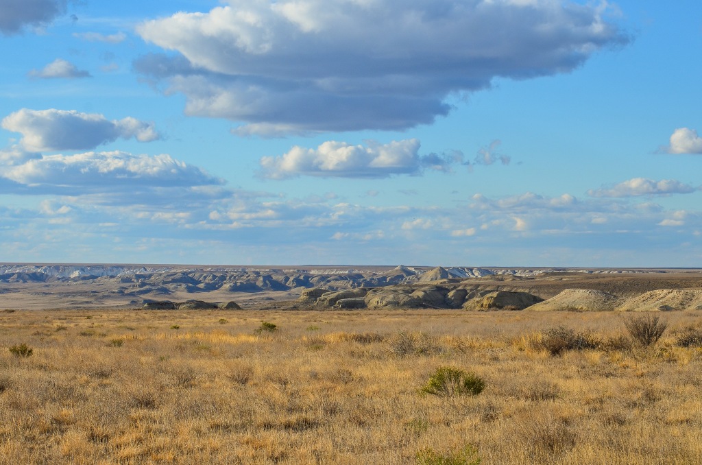 Stepy zachodniego Kazachstanu Say-Utes (kaz. Сай-Өтес).