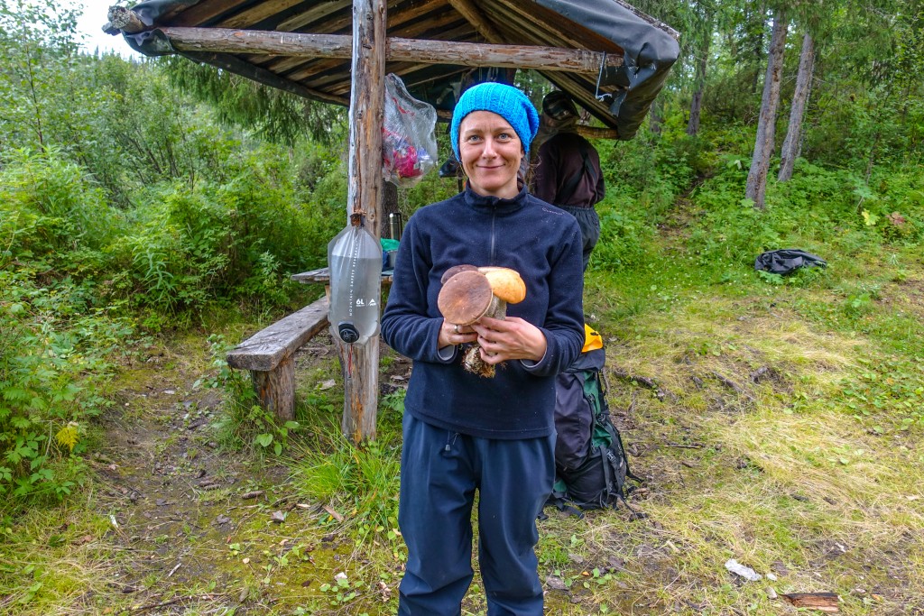 grzybobranie Ural Rosja