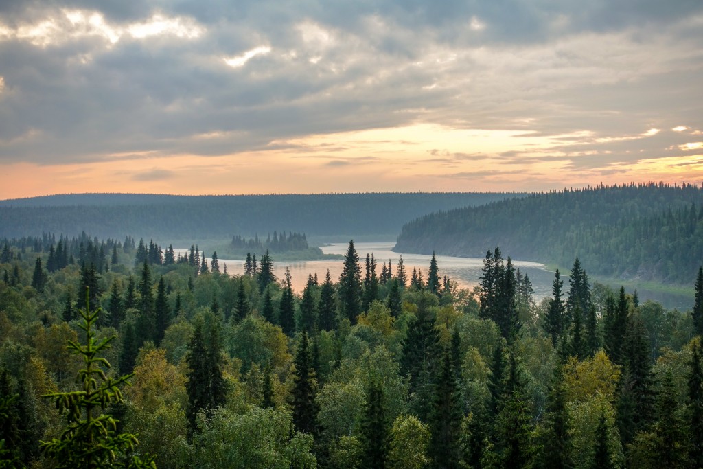 rzeka Kożym na Uralu Subpolarnym